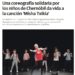 Misha txikia - Diario Vasco