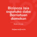 bizkaia_web