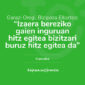 hamaika_web