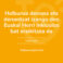 naiz_web