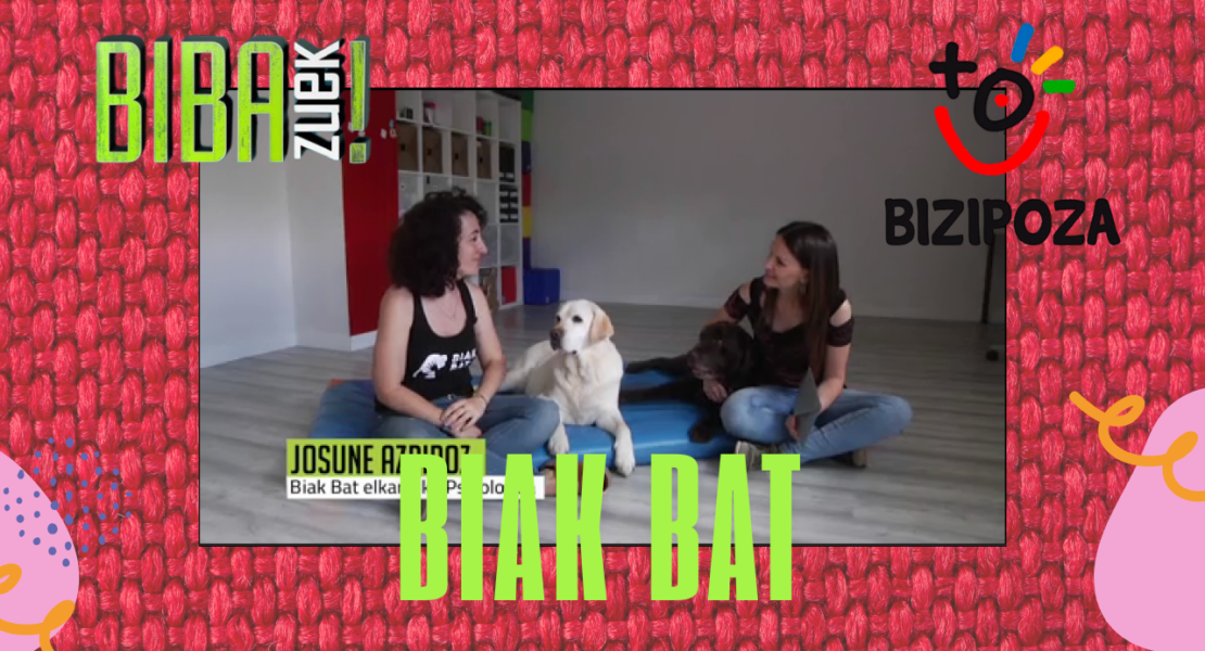Miniatura para youtube evento dominical en vivo degradado (5)